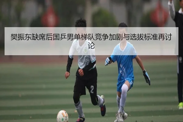 樊振东缺席后国乒男单梯队竞争加剧与选拔标准再讨论